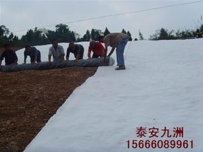 重庆膨润土防水毯,人工湖防渗价格 厂家 图片