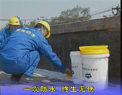 超强弹性防水材料,超强弹性防水材料生产技术,nm超强弹性防水材料技术转让,中国实用致富技术网